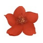 《小红花直播音效助手PC版》免费下载|系统工具·13.3.1.0