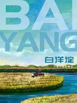 《白洋淀》免费高清无广告在线播放|纪录片,纪录·中国大陆·2024