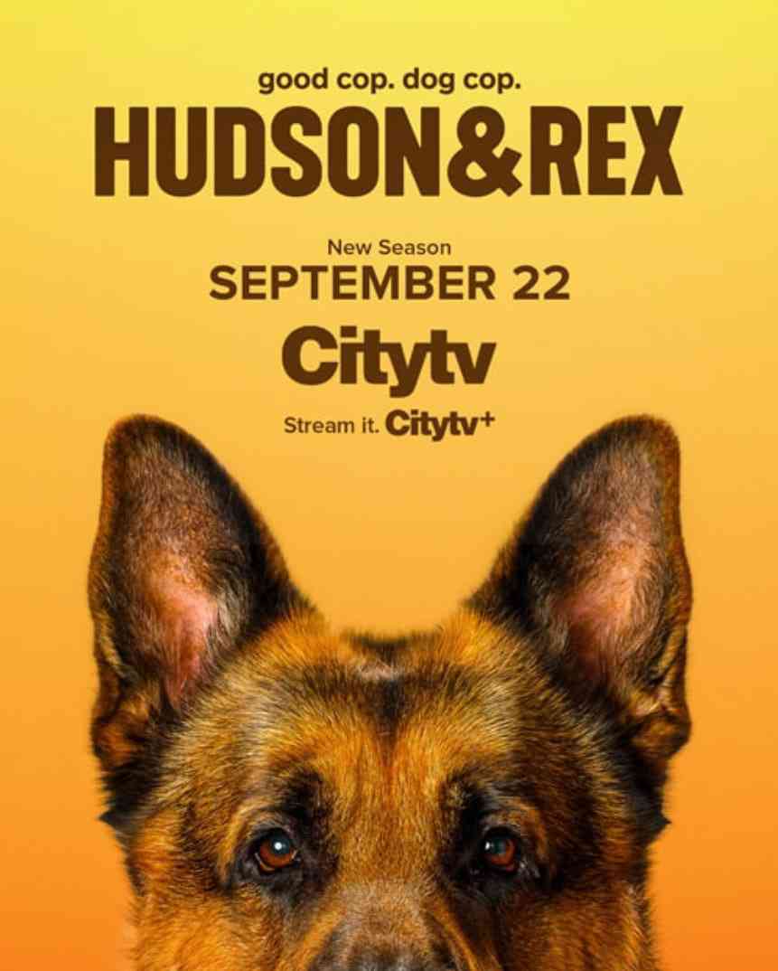 《哈德森与雷克斯 第八季》免费高清无广告在线播放|剧情,悬疑,犯罪·加拿大·2025