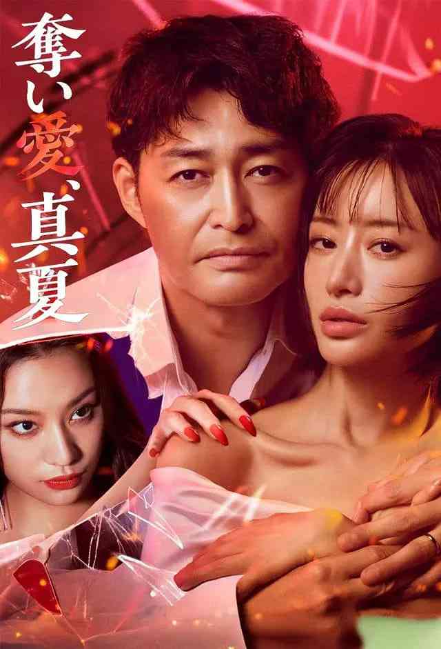 《夺爱，仲夏》免费高清无广告在线播放|剧情,爱情,悬疑·日本·2025