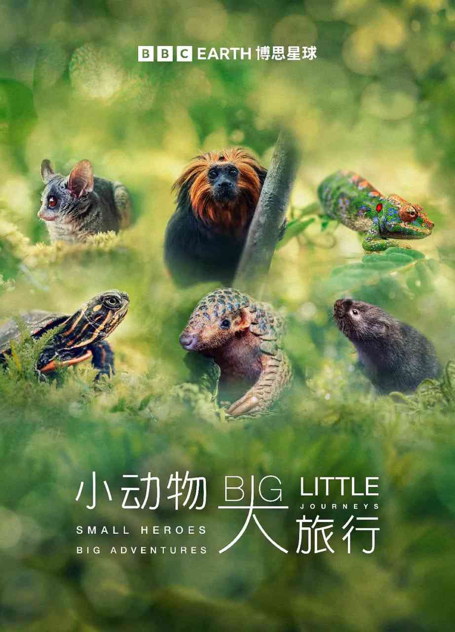 《小动物 大旅行 第一季》免费高清无广告在线播放|纪录片·英国·2023