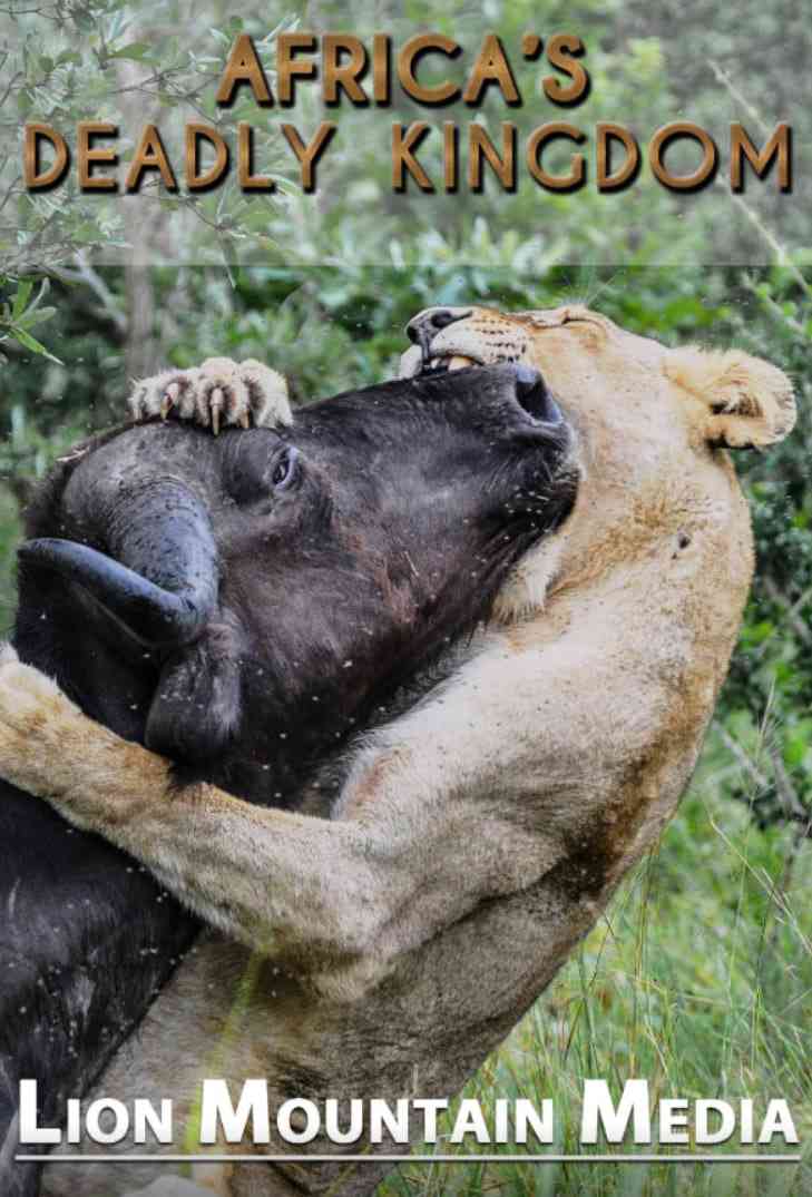 《非洲致命国度》免费高清无广告在线播放|纪录片·南非·2018