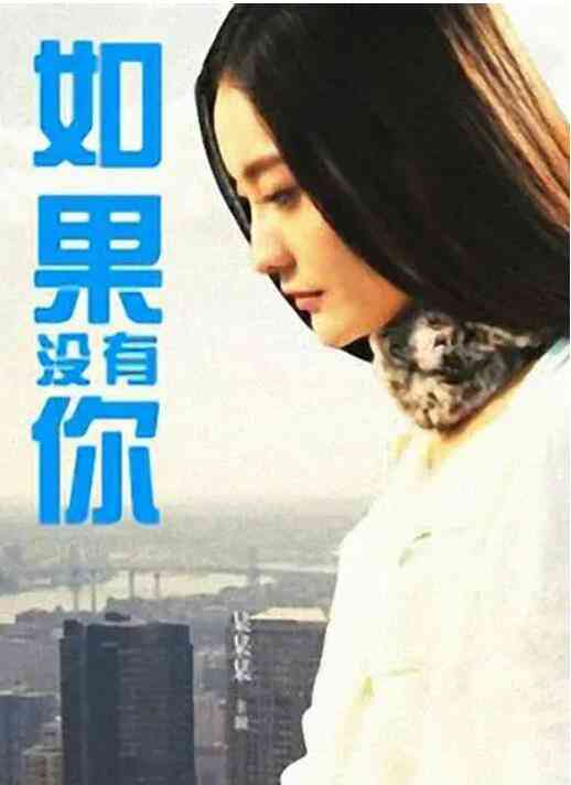 《如果没有你》免费高清无广告在线播放|剧情·中国大陆·2013