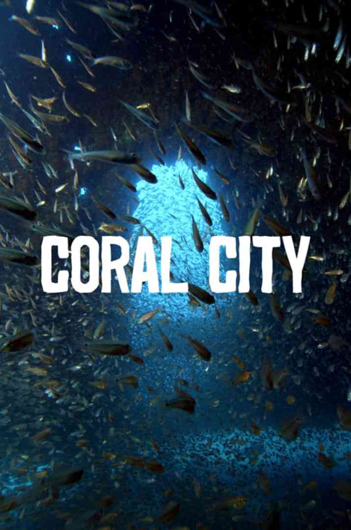 《珊瑚城 第一季》免费高清无广告在线播放|纪录·美国·2025