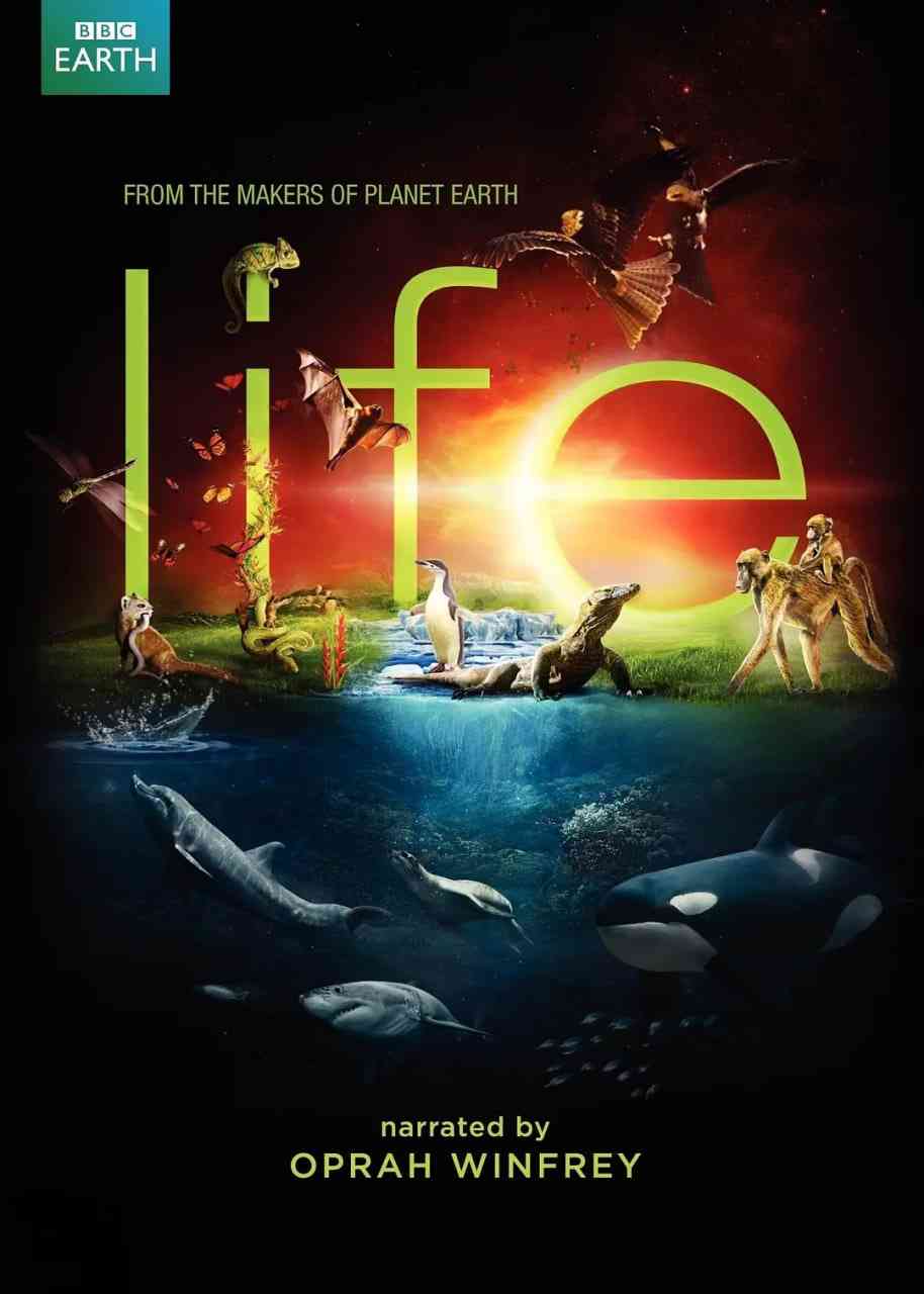 《生命 2009》免费高清无广告在线播放|纪录片·英国,希腊·2009