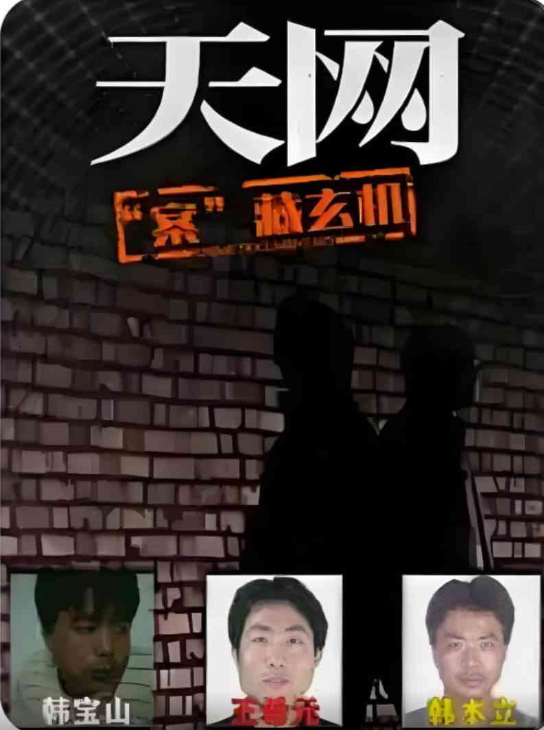 《天网：“案”藏玄机》免费高清无广告在线播放|剧情·中国大陆·2025