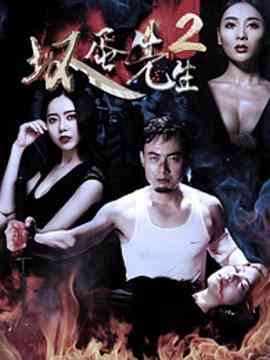 《坏蛋先生2》免费高清无广告在线播放|剧情·中国大陆·2017