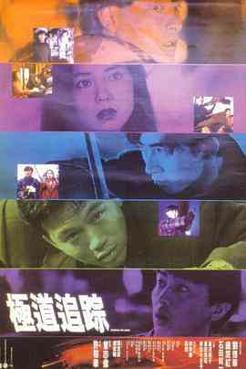 《极道追踪》免费高清无广告在线播放|爱情·中国香港·1991