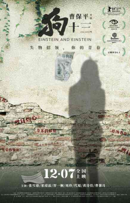 《狗十三》免费高清无广告在线播放|剧情,家庭·中国大陆·2013