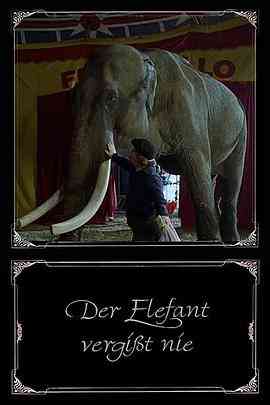 《大象永不忘记》免费高清无广告在线播放|剧情·德国·1995
