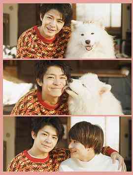 《爱你汪汪》免费高清无广告在线播放|日剧·日本·2023