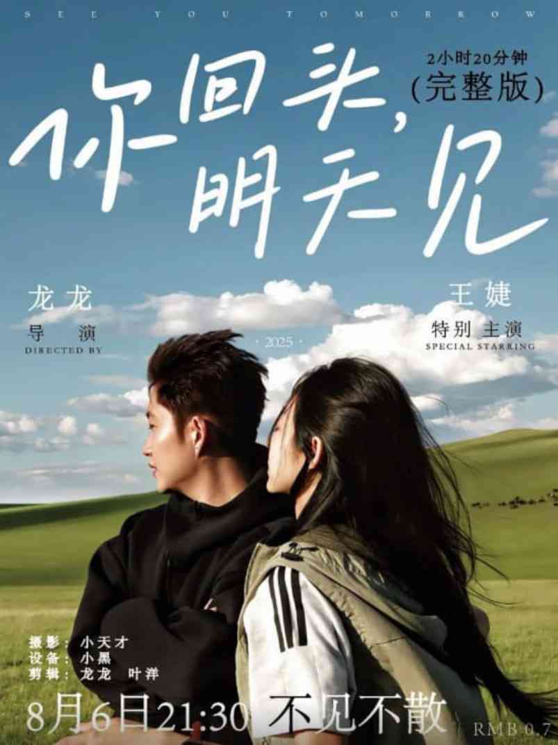 《你回头，明天见》免费高清无广告在线播放|剧情,爱情·中国大陆·2025