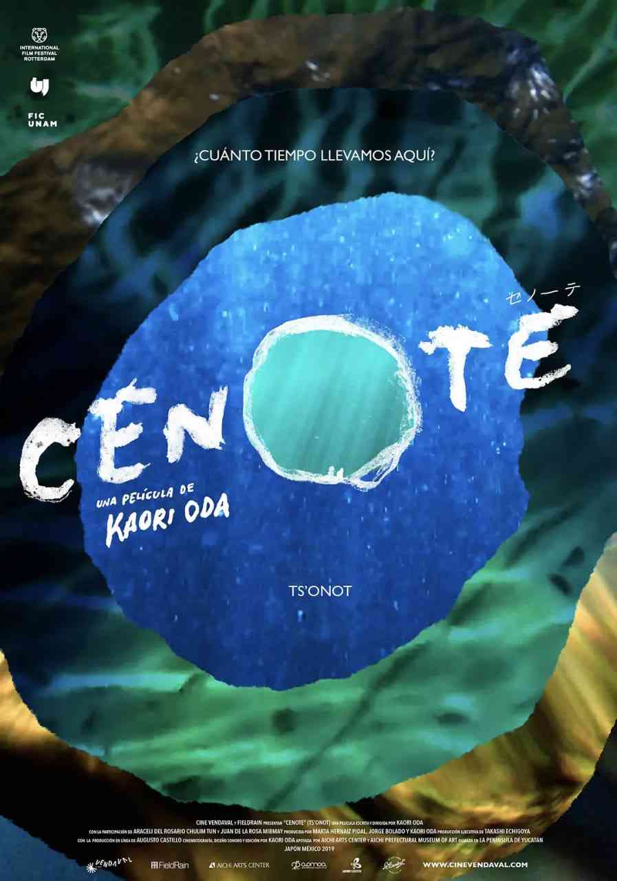 《沉洞泉》免费高清无广告在线播放|纪录片·日本·2019