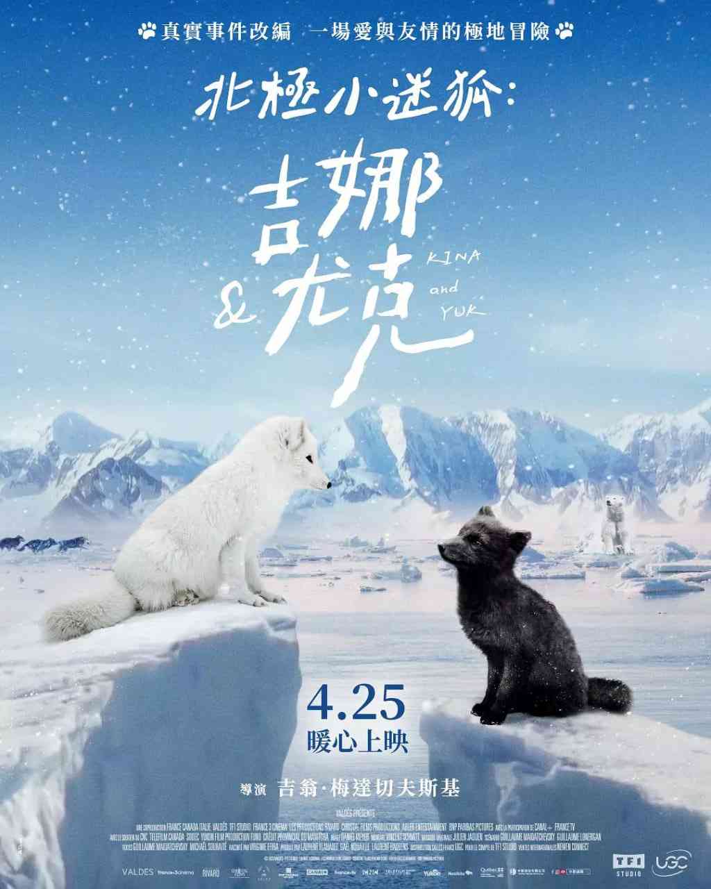 《北极小迷狐吉娜，尤克》免费高清无广告在线播放|纪录片·法国·2023