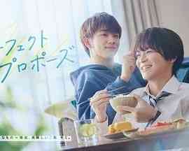 《完美求婚》免费高清无广告在线播放|剧情,同性,日剧·日本·2024