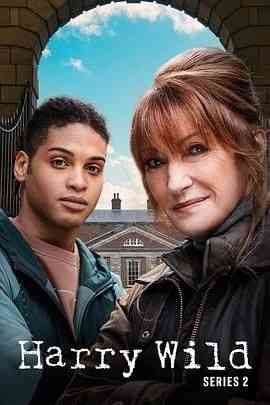 《野探哈莉 第二季》免费高清无广告在线播放|剧情,悬疑,犯罪·爱尔兰·2023