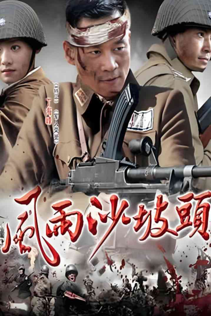 《风雨沙坡头》免费高清无广告在线播放|剧情·中国大陆·2010