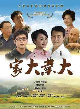 《家大业大》免费高清无广告在线播放|剧情,喜剧·中国大陆·2015