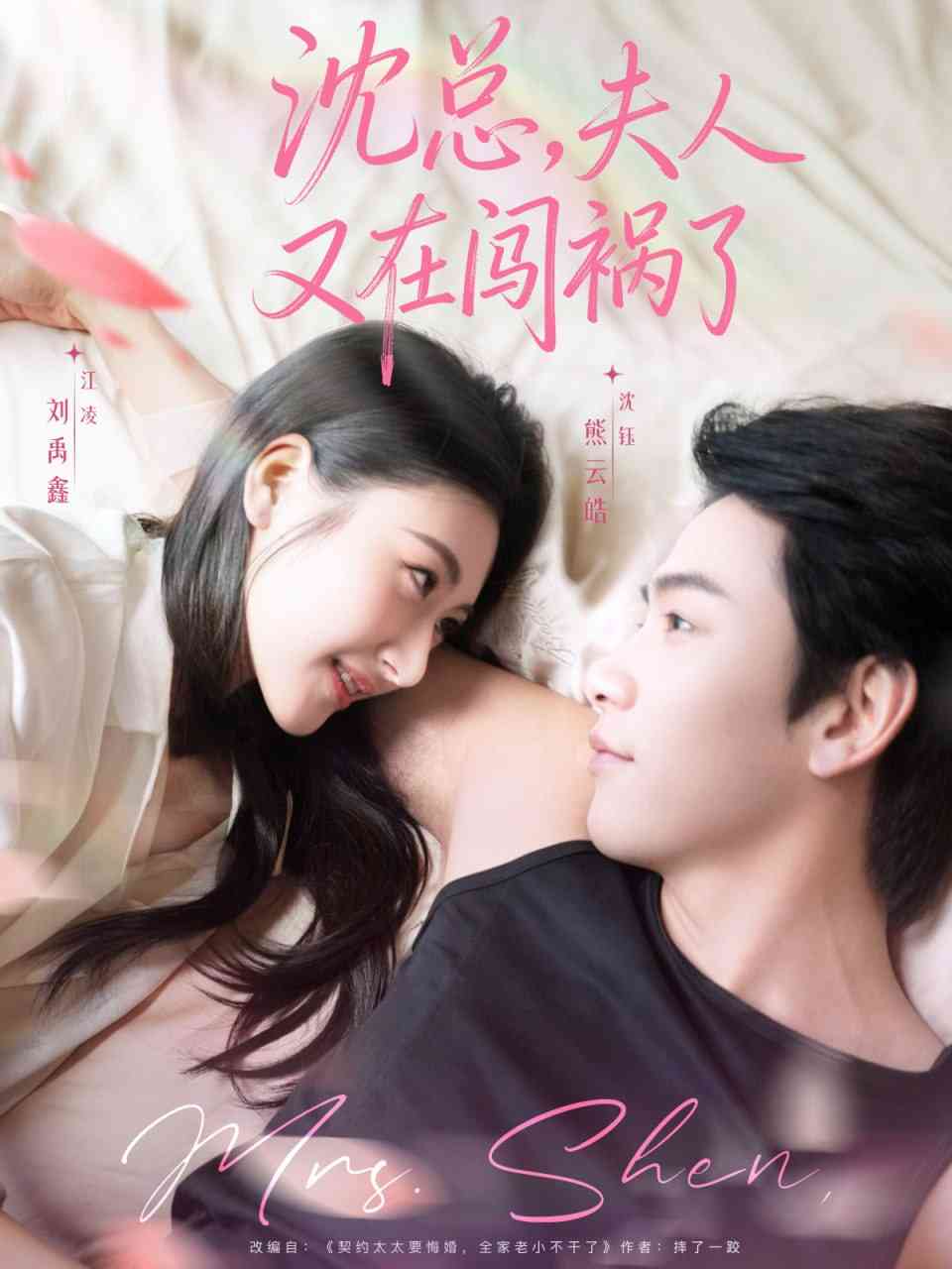 《沈总，夫人又在闯祸了》全集免费高清短剧无广告在线播放|短剧·中国大陆·2025