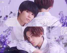 《美丽的他 第二季》全集免费高清电视剧无广告在线播放|日剧·日本·2023