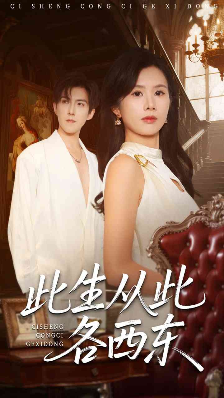 《此生从此各西东》全集免费高清短剧无广告在线播放|短剧·中国大陆·2025