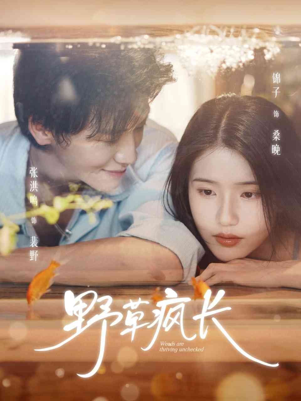 《野草疯长》全集免费高清短剧无广告在线播放|短剧·中国大陆·2025