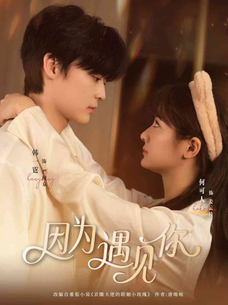 《因为遇见你》全集免费高清短剧无广告在线播放|短剧·中国大陆·2025