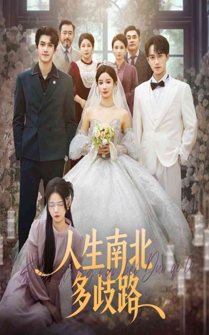 《人生南北多歧路》全集免费高清短剧无广告在线播放|短剧·中国大陆·2025