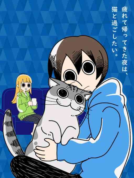 《关于养猫我一直是新手》全集免费高清动漫无广告在线播放|动画,动漫·日本·2022