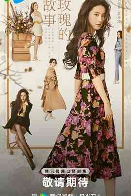 《玫瑰的故事》全集免费高清电视剧无广告在线播放|剧情·中国大陆·2024