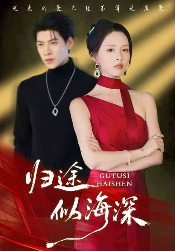 《归途似海深》全集免费高清短剧无广告在线播放|短剧·中国大陆·2025