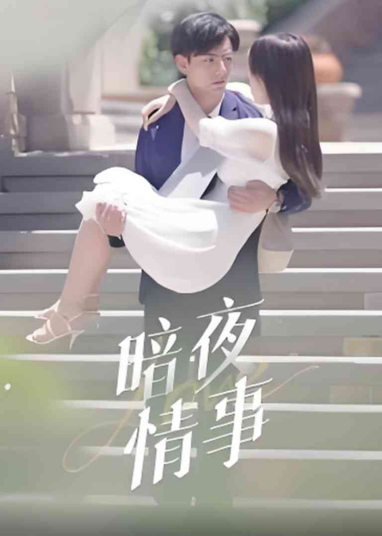 《暗夜情事》全集免费高清短剧无广告在线播放|短剧·中国大陆·2025
