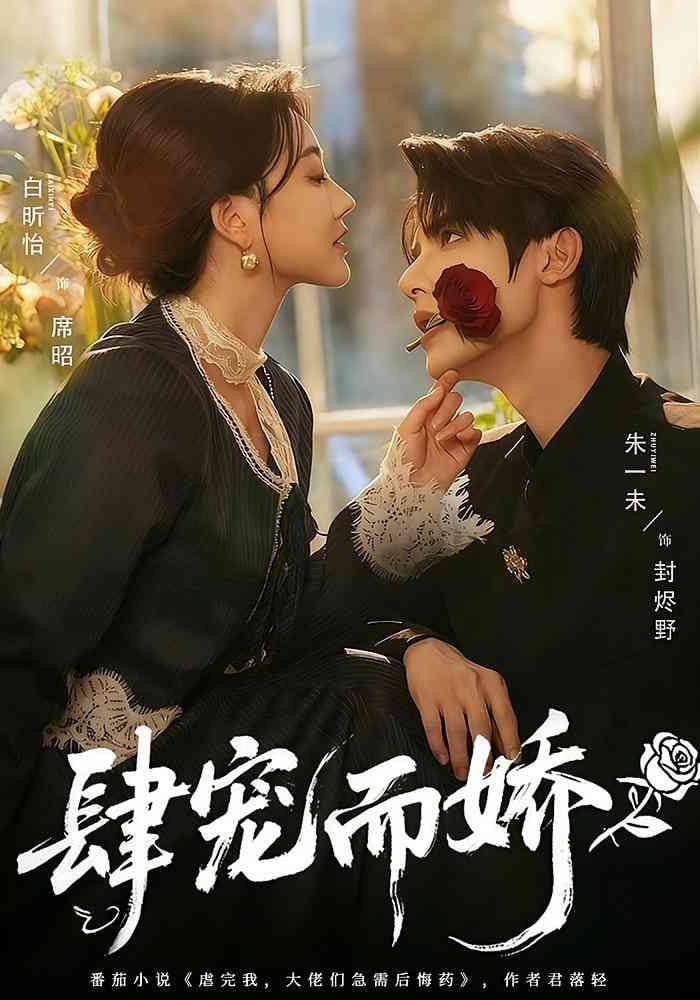 《肆宠而娇》全集免费高清短剧无广告在线播放|短剧·中国大陆·2025