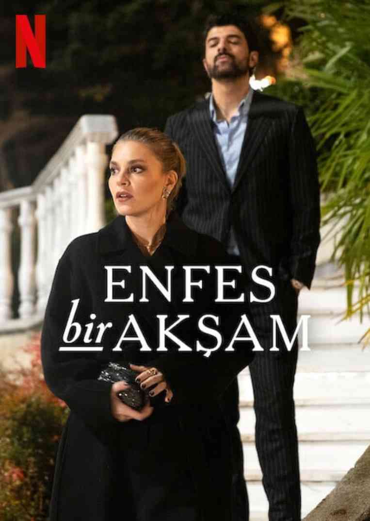 《权欲阶梯》全集免费高清电视剧无广告在线播放|剧情·土耳其·2025