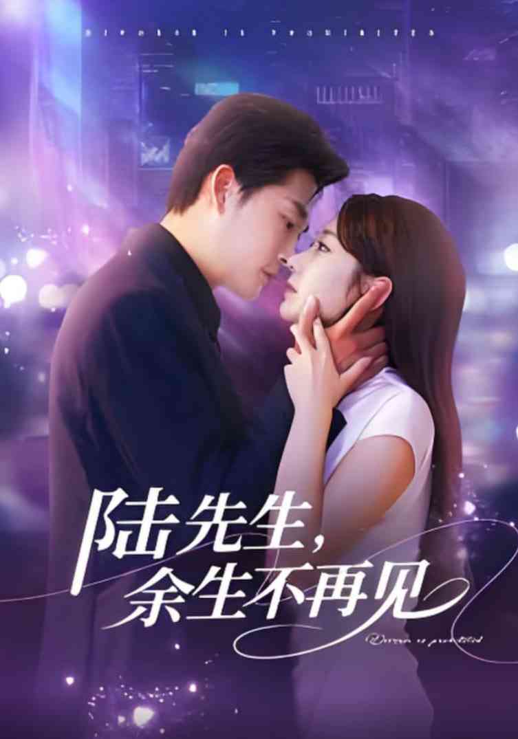 《陆先生，余生不再见》全集免费高清短剧无广告在线播放|短剧·中国大陆·2025