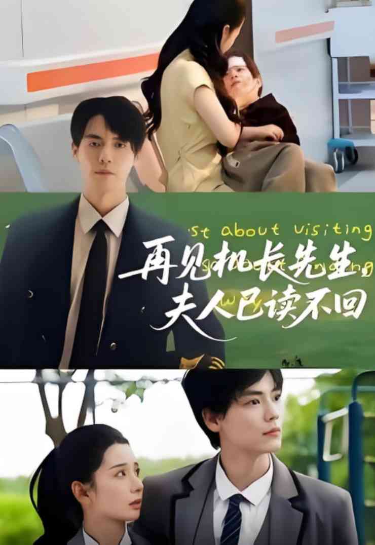 《再见机长先生夫人已读不回》全集免费高清短剧无广告在线播放|短剧·中国大陆·2025