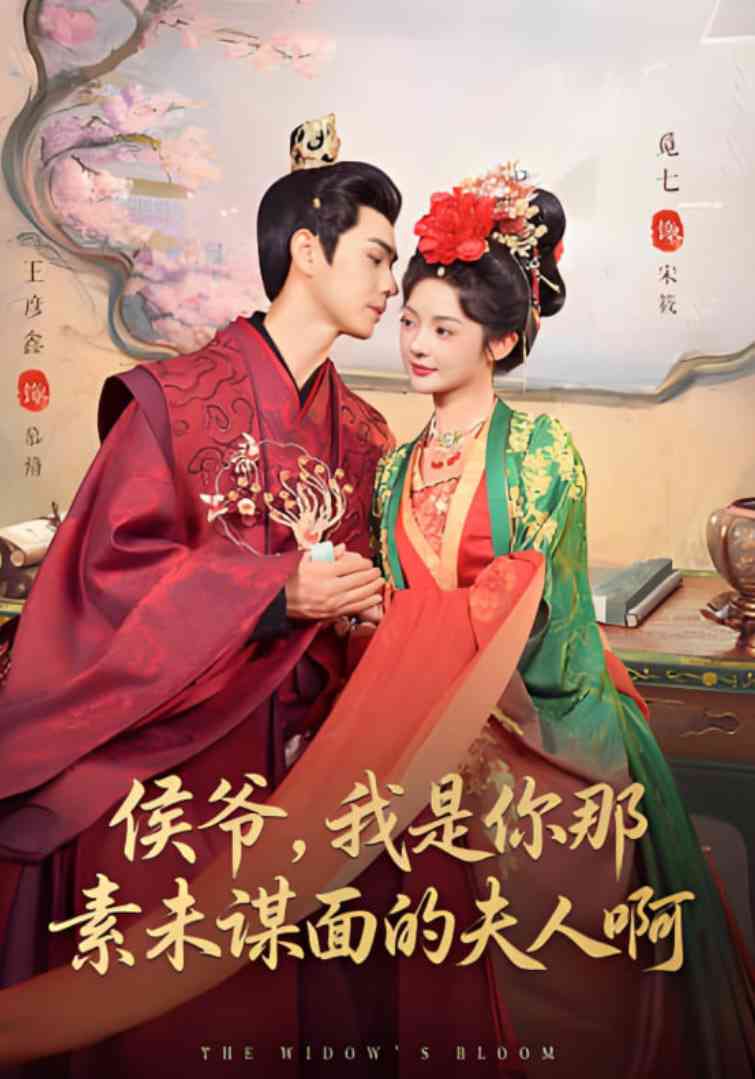 《侯爷，我是你那素未谋面的夫人啊》全集免费高清短剧无广告在线播放|短剧·中国大陆·2025