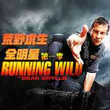 《荒野求生全明星 第一季》全集免费高清综艺无广告在线播放|欧美综艺,综艺·英国·2014