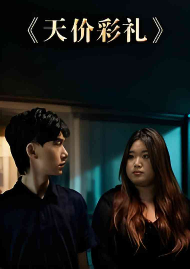 《天价彩礼》全集免费高清短剧无广告在线播放|短剧·中国大陆·2025