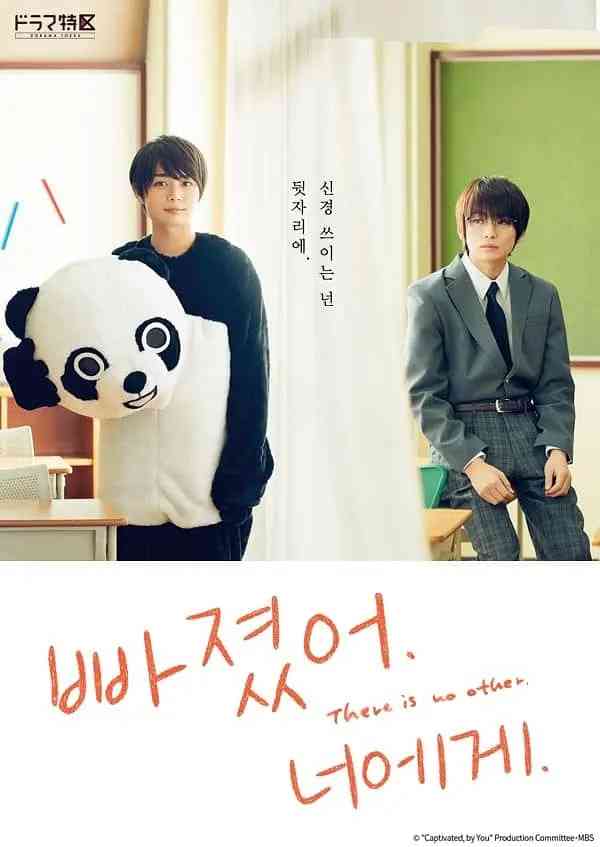 《对你着迷》全集免费高清电视剧无广告在线播放|剧情·日本·2021