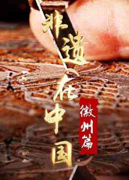 《非遗在中国：徽州篇》全集免费高清综艺无广告在线播放|纪录片,纪录·中国大陆·2023