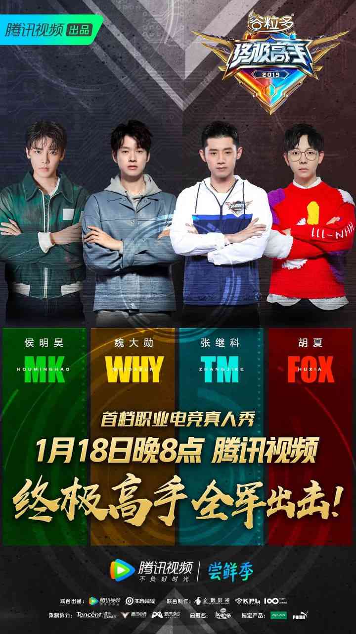 《终极高手 第一季》全集免费高清综艺无广告在线播放|真人秀·中国大陆·2019