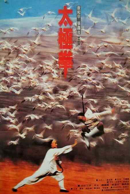 《功夫小子闯情关》最新免费高清电影无广告在线播放|动作,爱情,武侠,古装·中国香港,中国大陆·1996