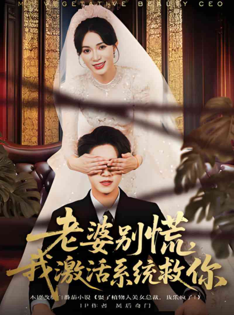 《老婆别慌，我激活系统救你》全集免费高清短剧无广告在线播放|短剧·中国大陆·2025