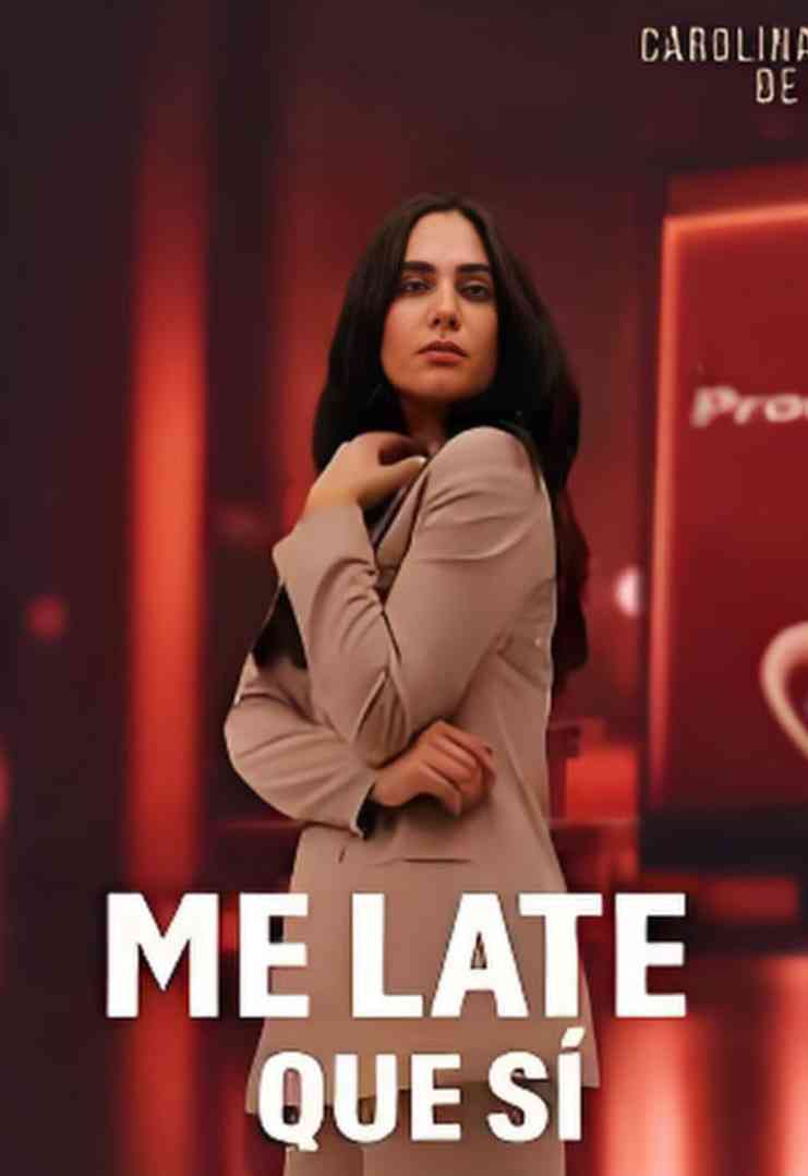 《和歌子酒 第六季》全集免费高清电视剧无广告在线播放|动作·日本·2022