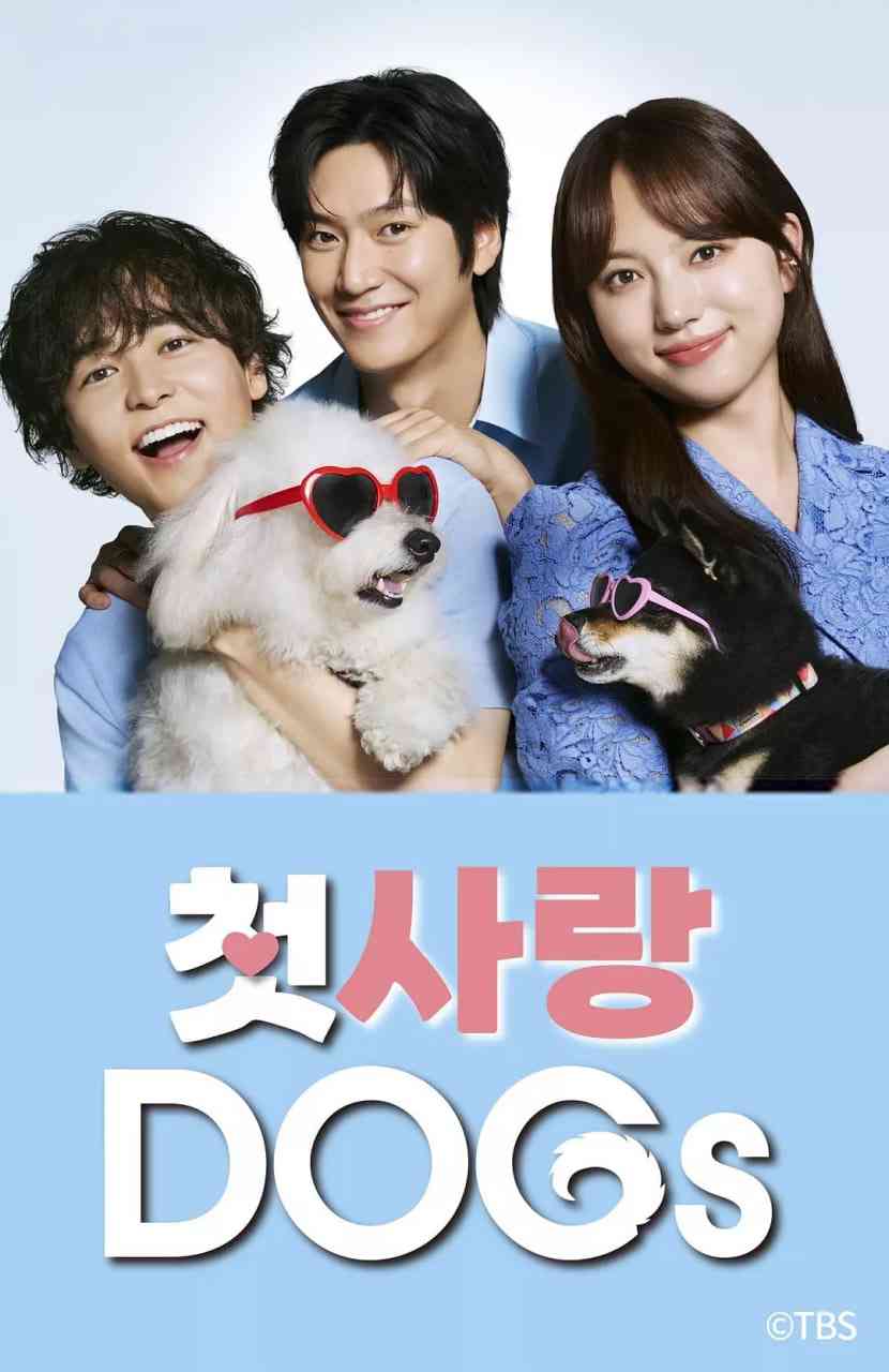 《初恋DOGs》全集免费高清电视剧无广告在线播放|喜剧,爱情·日本·2025