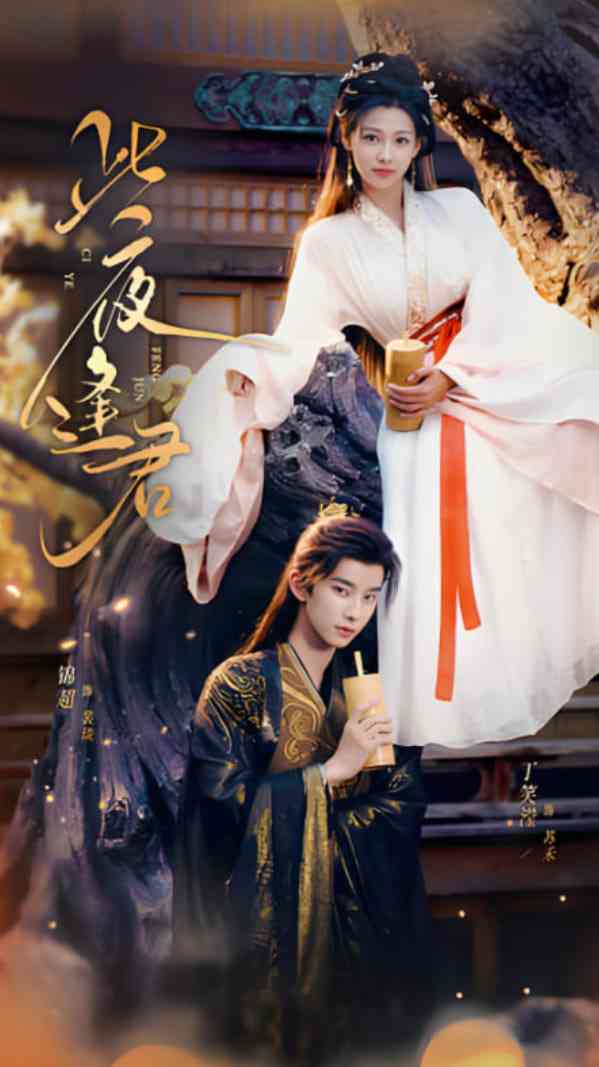 《此夜逢君》全集免费高清短剧无广告在线播放|短剧·中国大陆·2025