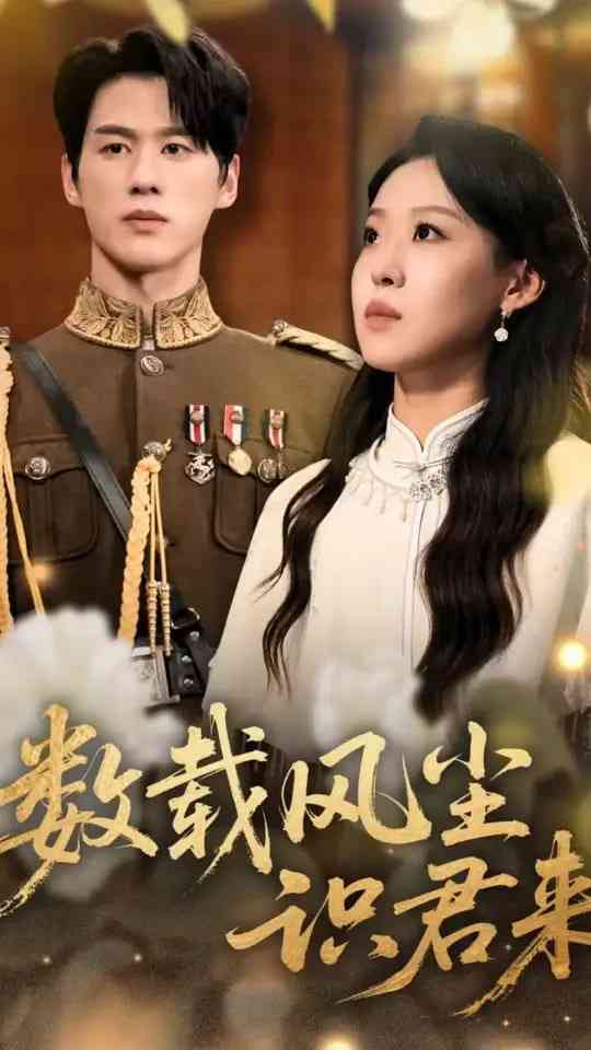 《数载风尘识君来》全集免费高清短剧无广告在线播放|短剧·中国大陆·2025