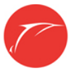 《飞鱼微客服v1.1.3.15501》软件免费下载|系统工具·1.1.3.15501