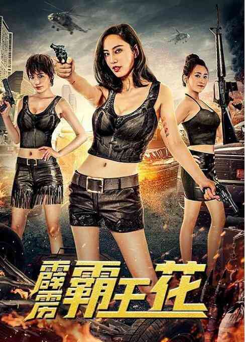 《霹雳霸王花》最新免费高清电影无广告在线播放|喜剧,犯罪·中国大陆·2020